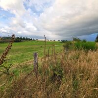 Sommer im Gelängetal in Medebach