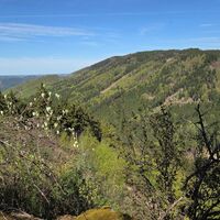 Ausblick am Kleinen Jauerlinggipfelkamm