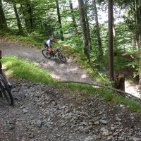 Wer will, kann über diesen Trail ins Versamertobel fahren.
