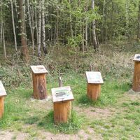 Von Dreba zum Plothener Hausteich