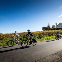 Radtour im Weinland Steiermark