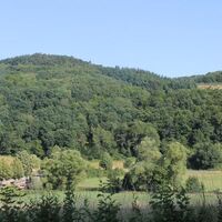 Blick ins Glantal
