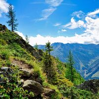 Natur tut Körper und Seele gut.