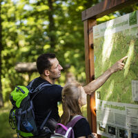 Infotafel am Veischeder Sonnenpfad