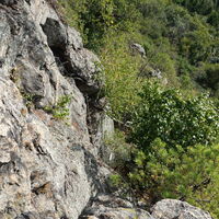 Blick am Aufstieg runter