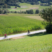 Strada della Val Lomasona