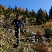 Altenbergsteig - Heukuppe