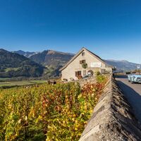 Der Alte Torkel Jenins