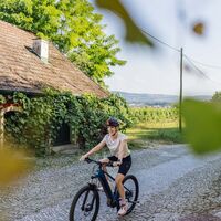 In der Kellergasse Rohrendorf