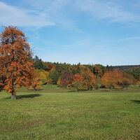 Die Streuobstwiesen im herbstlichen Gewand