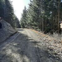 Beginn vom Imnitzersteig