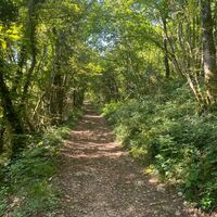 Weg in der Nähe des Croix Saint Clair in Izieu