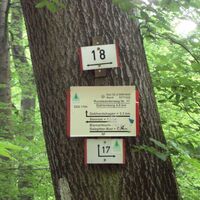 Salzgitter Höhenzug, Wanderwege 17 und 18 paralleler Abschnitt