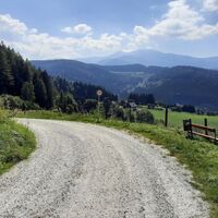 Forstweg mit Aussicht