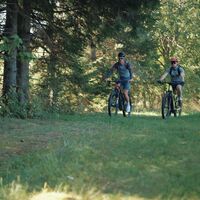 Mit dem Mountainbike über idyllische Wiesenwege