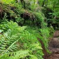 Rodalber Felsenwanderweg beim Wasserfelsen
