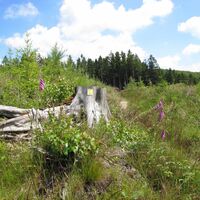 Wegemarkierung Sauerland-Höhenflug