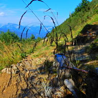 Niederalpl - Hohe Veitsch - Seewiesen