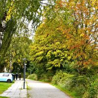 Marie Juchacz Straße Aurich