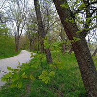Harrachpark