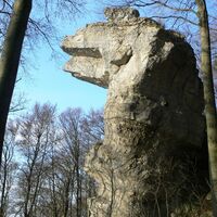 Kamelkopf Ith.jpg