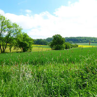 Hilgershäuser Steinwanderweg