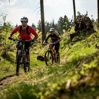 2 Mountainbiker fahren am Wald entlang