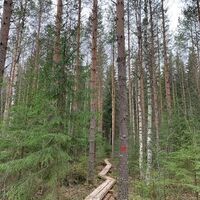Orrainpolku