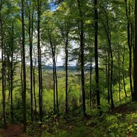 Blick vom Weg am Langenberg ins Tal