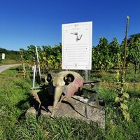 Die Reblaus am Weinwanderweg