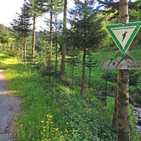 Abfahrt von der Kalikutt