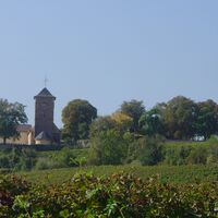 Blick auf Herxheim am Berg von Osten - St. Jakob Kirche und Mauer am Schlossgarten