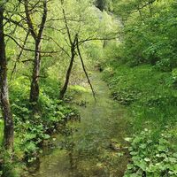 Enns-Seitenarm