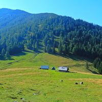 Niederalpl - Hohe Veitsch - Seewiesen