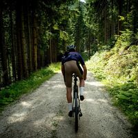 Radfahrer im Wald_Oststeiermark