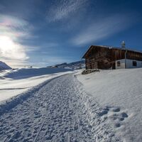 Winterwanderweg oberhalb Vignogn