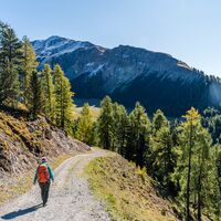 Richtung Alp Champatsch