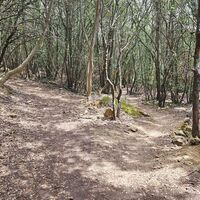12.6 km Rechts halten