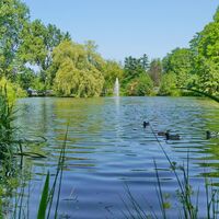 Gustav Clauss Anlage mit Weiher St Ingbert- ein Garten mit Geschichte