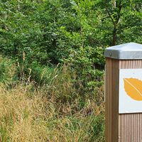 KrausbuchenWeg_Schönecker Schweiz_Sebastian Wiesen_10.2021 (63)