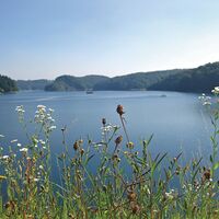Blick auf die Wahnbachtalsperre, Etappe 1