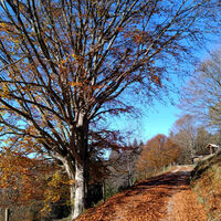 Oberhalb von Glashütte