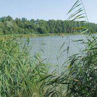 Lengeder Teiche