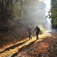 Wanderer im Zwielicht