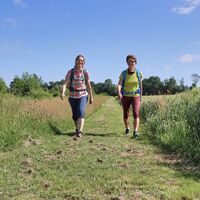 Der Weg führt abwechslungsreich durch die Landschaft