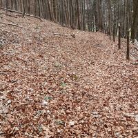 Rinnende Mauer Trail - Molln (lang)