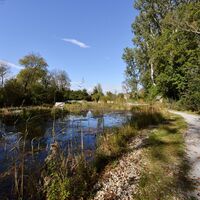 Nationalpark Donau-Auen © Donau Niederösterreich/Steve Haider