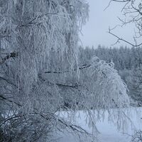 Winter im EdelSteinLand