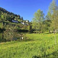 Nagoldtalsperre oberer See - Liegewiese
