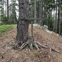 Gipfelkreuz Haakogel (ob er 884 oder 882 m üdM ist, ist nicht ganz klar, aber wuascht ..)